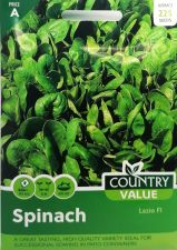 Spinach Lazio Seeds